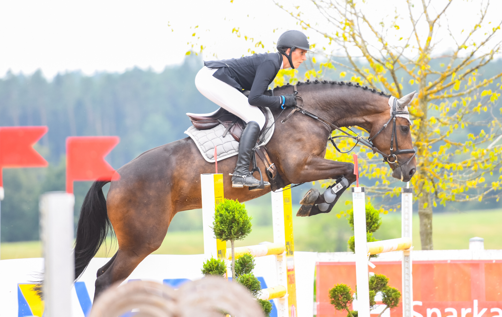 Jagstzell Sorg Und Wieland Gewinnen Die S Springen Reitturniere De News Ergebnisse Turnierkalender Ranglisten