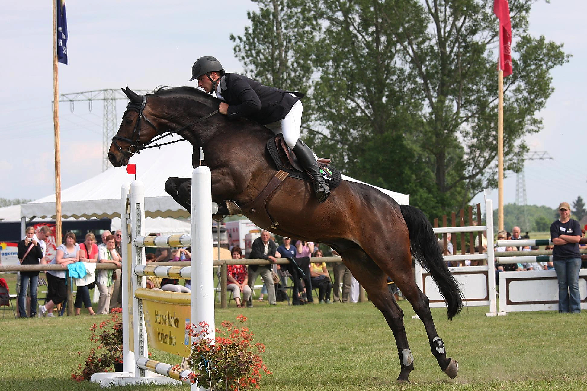 Spannender Sport Beim Pfingstturnier In Horka 2 Etappe Der German Horse Pellets Tour Reitturniere De News Ergebnisse Turnierkalender Ranglisten