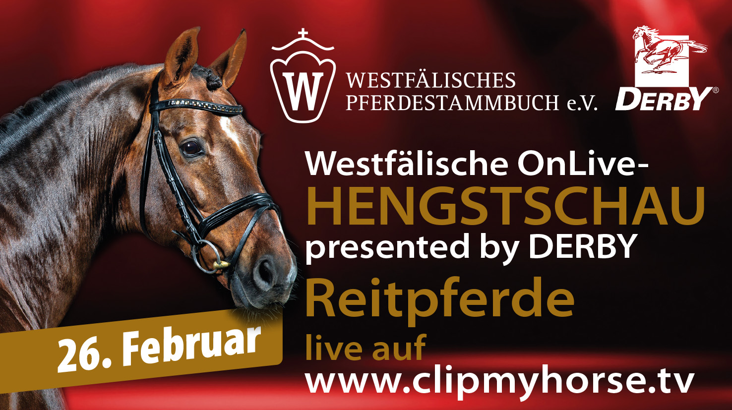 Die Hengste sind los in MünsterHandorf am 26. Februar 2022