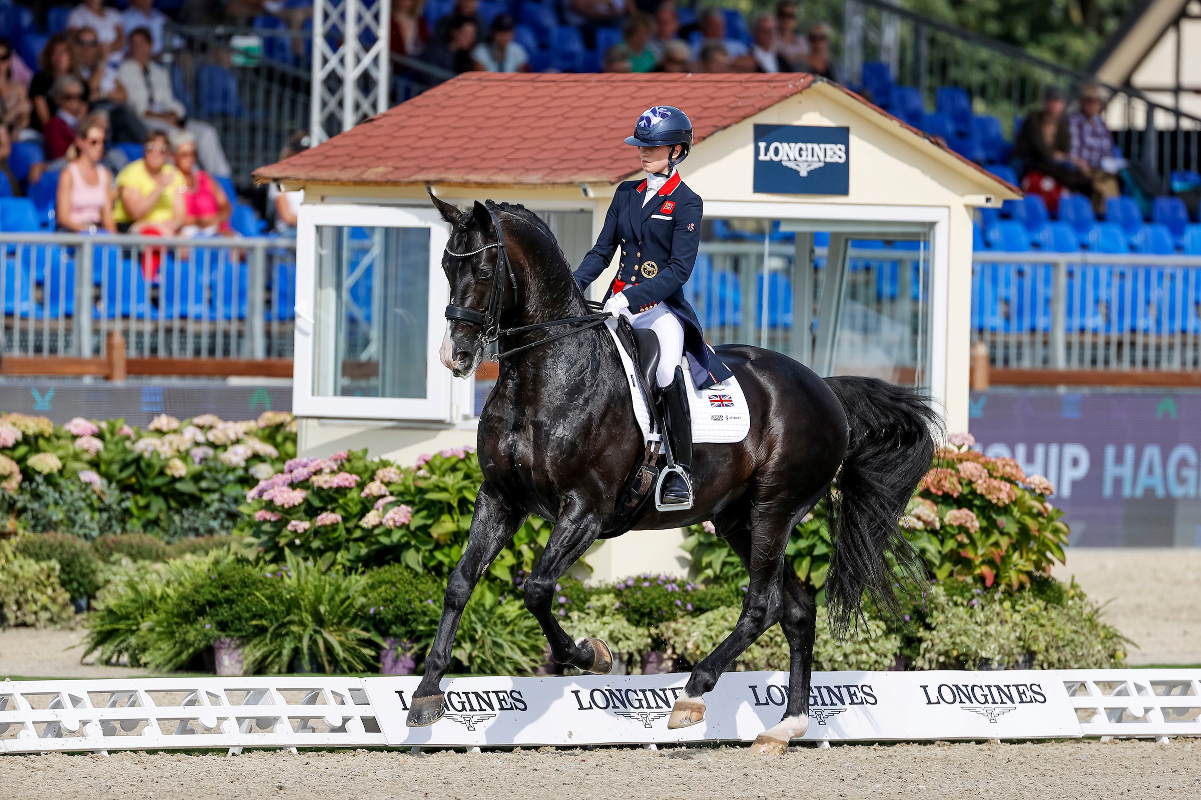 FEI Dressage European Championships Großbritannien zur "Halbzeit" in