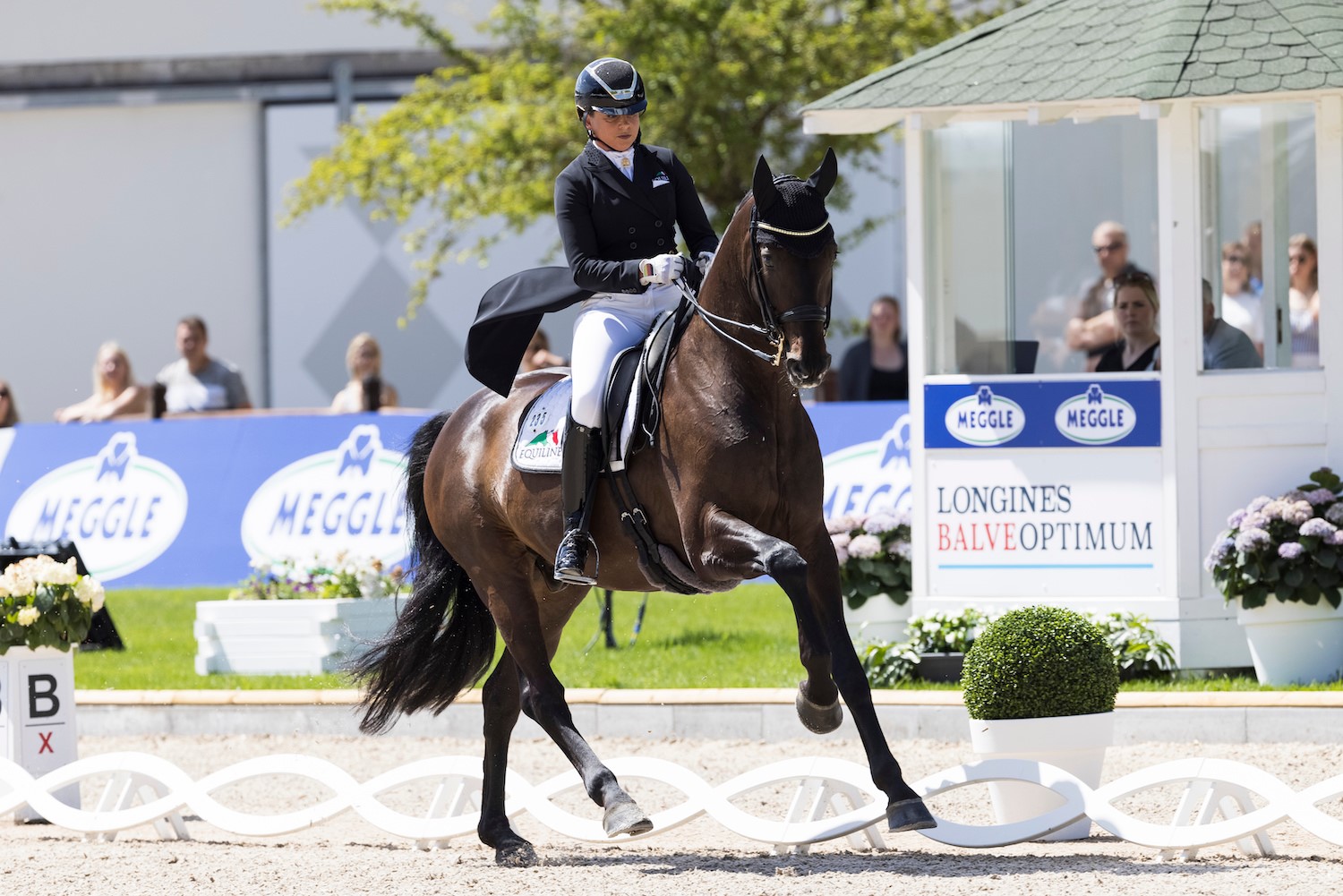 75 Jahre LONGINES BALVE OPTIMUM starke Partner brauchen