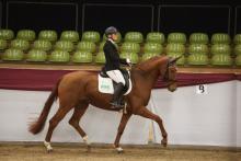 Foto: Vajana siegte im Finale des Gert-Gussmann-Cups 2025 unter Margit Hagel - Fotograf: © DoMa