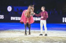 Foto: Chappeloup ist der diesjährige DSP-Masters-Hengst - Fotograf: © TomsPic