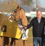 Foto: Mathieu Beckmann und Benicio, Hannoveraner Hengst des Jahres 2025 - Fotograf: © Bischoff
