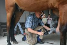 Foto: Der Ottenheimer Felix Benz hat zum 1. Januar Esse und Amboss an den berühmten Nagel gehängt - Fotograf: © Martin Frenk