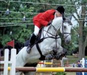 Foto: Gerhard Fuchs im Sattel von Lafitte - Fotograf: © Pferdesportverband Südbaden Foto: Gerhard Fuchs im Sattel von Lafitte - Fotograf: © Pferdesportverband Südbaden