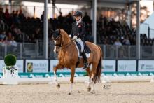 Foto: Susan Pape/Harmony’s Giulilanta - Fotograf: ©Centre Line Media