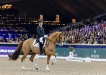 Foto: Justin Verboomen und Djembe de Hus in Mechelen - Fotograf: FEI/Caremans