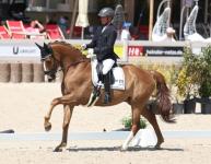 Foto: Armin Hanselmann verstärkt ab 1. April das Team im Stuttgarter RFV - Fotograf: © Roger Müller Foto: Armin Hanselmann verstärkt ab 1. April das Team im Stuttgarter RFV - Fotograf: © Roger Müller