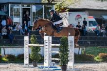 Foto: Wieder ganz die Alten: Dawson und Sven Speidel - Fotograf: © Bambi