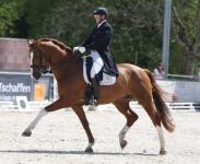 Foto: Hans-Peter Bauer und Dynamico W trabten in Rottweil zum nächsten S-Sieg. - Fotograf: © Roger Müller