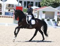 Foto: Nicole Casper galoppiert mit Birkhof's Zabalou zum Sieg. - Fotograf: © Roger Müller