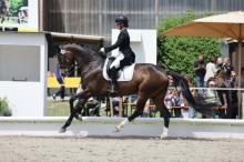Foto: Nele Dobmann sicherte sich mit FBW Vjera einen überlegenen Sieg in der Dressurpferde S von Ludwigsburg. / © D. Matthaes Foto: Nele Dobmann sicherte sich mit FBW Vjera einen überlegenen Sieg in der Dressurpferde S von Ludwigsburg. / © D. Matthaes