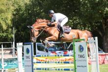 Foto: Unter Andy Witzemann entschied der Hannoveraner-Wallach Coach Carter zwei S-Springen. - Fotograf: © D. Matthaes