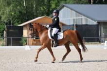 Foto: Sophia Bäuerle und Cromwell sind für das Bundesnachwuchschampionat Pony nominiert - Fotograf: © D. Matthaes Foto: Sophia Bäuerle und Cromwell sind für das Bundesnachwuchschampionat Pony nominiert - Fotograf: © D. Matthaes