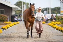 Foto: Julia Krajewski/ERO DE CANTRAIE bei der Verfassungsprüfung am Mittwochnachmittag - Fotograf: © Military Boekelo