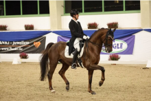 Foto: Frederik Steisslinger und Favory sicherten sich in Ising zwei S***-Siege - Fotograf: © D. Matthaes