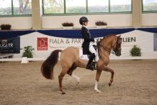 Foto: Ann-Cathrin Rieg und Steendieks Derrick begeisterten beim Halbfinale DERBY Stars von Morgen in Ising - Fotograf: © D. Matthaes Foto: Ann-Cathrin Rieg und Steendieks Derrick begeisterten beim Halbfinale DERBY Stars von Morgen in Ising - Fotograf: © D. Matthaes