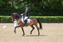 Foto: Dublin ist verkauft, bleibt aber zur weiteren Ausbildung bei Vera Breidenbach. - Fotograf: © D. Matthaes
