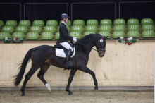 Foto: Rebound v. Springbank II-Sandro Hit - Fotograf: © Doris Matthaes