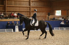 Foto: Ein Bild, das man vermissen wird - Dressursport in Zeutern - Fotograf: © D. Matthaes