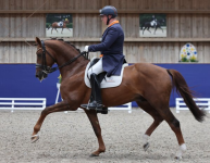 Foto: Pieter van der Raadt mit DSP C'cinzano - Fotograf: © D. Matthaes Foto: Pieter van der Raadt mit DSP C'cinzano - Fotograf: © D. Matthaes