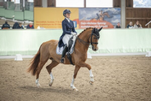 Foto: Carina Harnisch und Secret's Sensation trabten zu Platz zwei in der Walldorfer Jungpferde-S-Dressur - Fotograf: © Talia Klefenz Foto: Carina Harnisch und Secret's Sensation trabten zu Platz zwei in der Walldorfer Jungpferde-S-Dressur - Fotograf: © Talia Klefenz