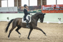 Foto: Vorbildliche Trabverstärkung: Valerie del Rio Pfeffer auf Braveheart - Fotograf: © www.taliaklefenz-fotografie.de