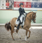 Foto: Ann-Cathrin Rieg und Steendieks Derrick siegen in der Intermediaire II von Walldorf- Fotograf: © Talia Klefenz
