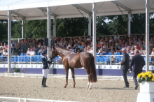 Foto: Dank KI-gestützter Technik kann auf die Exterieur-Beurteilung ohne Sattel der Drei- und Vierjährigen bei den Bundeschampionaten zukünftig verzichtet werden. - Fotograf: © Thomas Hartwig