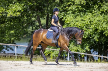 Foto: Reiten mit Schlaufzügel - Fotograf: Reiterjournal