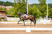 Foto: Andrea Dlugos mit Fine Lady B - Fotograf: © privat Foto: Andrea Dlugos mit Fine Lady B - Fotograf: © privat