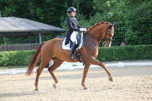 Foto: Ramona Ritzel mit DSP Zampano trabten in der Böblinger Intermediaire A zum ersten Dreisterne-S-Sieg. - Fotograf: © D. Matthaes Foto: Ramona Ritzel mit DSP Zampano trabten in der Böblinger Intermediaire A zum ersten Dreisterne-S-Sieg. - Fotograf: © D. Matthaes