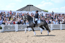 Foto: Weltmeister Proud James unter Isabell Werth - Fotograf: © Beelitz