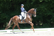 Foto: Doris Heizmann mit Vitali auf dem Weg zu ihrem ersten S-Sieg - Fotogrf: © D. Matthaes Foto: Doris Heizmann mit Vitali auf dem Weg zu ihrem ersten S-Sieg - Fotogrf: © D. Matthaes