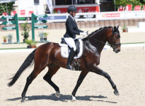 Foto: Vino Veritas unter dem Sattel von Anna Casper führte die Gert Gussmann Cup Qualifikation an - Fotograf: © Roger Müller Foto: Vino Veritas unter dem Sattel von Anna Casper führte die Gert Gussmann Cup Qualifikation an - Fotograf: © Roger Müller
