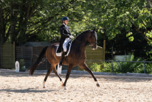 Foto: Jennifer Schaack trabte mit Bon Voyage zum Sieg in der Trense-S-Dressur. - Fotograf: © Carolin G. Fotografie