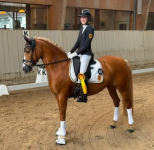 Foto: Marie-Elise Layer siegte in Ludwigsburg mit Dear Darling in der Pony Master Qualifikation. - Fotograf: © privat