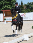 Foto: Nicole Casper und Sir Copperfield sicherten sich das Goldene Band. - Fotograf: © D. Matthaes