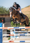 Foto: SMA Chandela Blue springt unter Manuel Friederichs zum ersten S-Sieg. - Fotograf: © KS-Fotografie (Katharina Sack) & Conker01_Photography