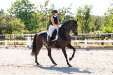 Foto: Naomi Boncium und Mercedes Zee galoppierten in Köngen zum S-Sieg - Fotograf: © Bambi Fotografie Foto: Naomi Boncium und Mercedes Zee galoppierten in Köngen zum S-Sieg - Fotograf: © Bambi Fotografie