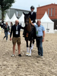 Foto: Baila van der Rosi aus der Zucht von Claudia Wolpert und im Besitz der Familie Beckmanns siegte unter dem Sattel von Sophie Jamar in der Finalqualifikation der fünfjährigen Dressurpferde. - Fotograf: © privat Foto: Baila van der Rosi aus der Zucht von Claudia Wolpert und im Besitz der Familie Beckmanns siegte unter dem Sattel von Sophie Jamar in der Finalqualifikation der fünfjährigen Dressurpferde. - Fotograf: © privat