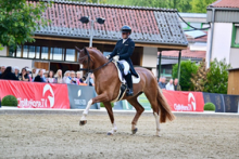 Foto: FBW Emiliano H.E. trabten im Finale der siebenjährigen Dressurpferde zu Platz sechs. - Fotograf: Björn Schroeder