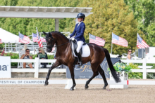 Foto: E’Panthera (v. Escamillo siegte unter Christina Morin-Graham im Finale der Sechsjährigen beim U.S. Dressage Festival of Champions. - Fotograf: privat Foto: E’Panthera (v. Escamillo siegte unter Christina Morin-Graham im Finale der Sechsjährigen beim U.S. Dressage Festival of Champions. - Fotograf: privat