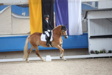 Foto: Jona Emilia Heier gewinnt beim Landesjugendcup der Großpferde Dressur - Fotograf: © Doris Matthaes Foto: Jona Emilia Heier gewinnt beim Landesjugendcup der Großpferde Dressur - Fotograf: © Doris Matthaes