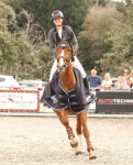 Foto: Lea-Sophia Gut und Sharm-el-Sheikh gewinnen das S-Springen - Fotograf: © Janina Sanwald Foto: Lea-Sophia Gut und Sharm-el-Sheikh gewinnen das S-Springen - Fotograf: © Janina Sanwald