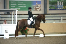 Foto: Franz Trischberger mit Zewano OLD - Fotograf: © D. Matthaes