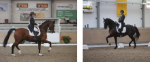 Foto links: Siegerin und Landesmeisterin: Leonie Laier - Foto rechts: Sieger und Gastgeber: Timo Kemmerer - Fotograf: © D. Matthaes Foto links: Siegerin und Landesmeisterin: Leonie Laier - Foto rechts: Sieger und Gastgeber: Timo Kemmerer - Fotograf: © D. Matthaes