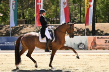 Foto: Claudia Rassmann und Bella Ducati traben im Moment von einem Sieg zum Nächsten - Fotograf: © privat Foto: Claudia Rassmann und Bella Ducati traben im Moment von einem Sieg zum Nächsten - Fotograf: © privat