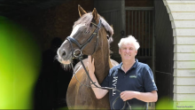 Foto: Thomas Casper mit seinem Stempelhengst Don Diamond - Fotograf: Lisa Raedlein Foto: Thomas Casper mit seinem Stempelhengst Don Diamond - Fotograf: Lisa Raedlein